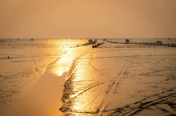 Quels sont les meilleurs itinéraires pour une randonnée dans les montagnes de Retezat en Roumanie?